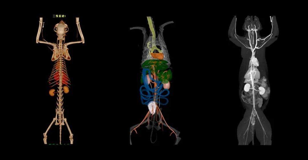 1650961203678902.jpg 640.jpg