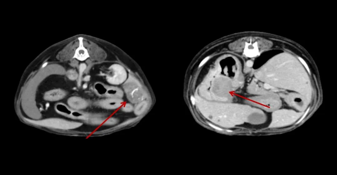 1650961343100612.jpg 640 (1).jpg