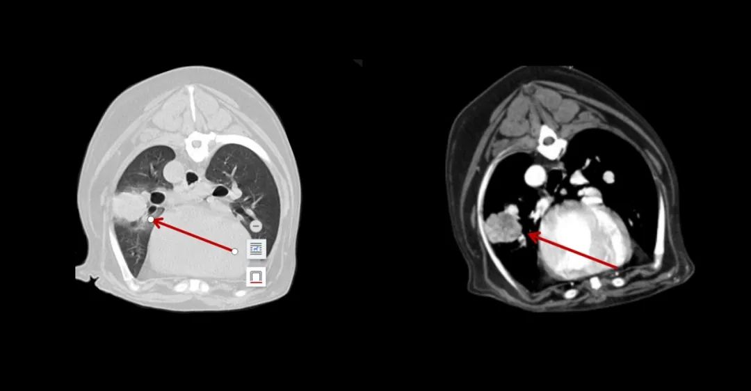 1650961438665279.jpg 640 (2).jpg