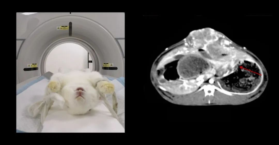 1650961482660718.jpg 640 (3).jpg