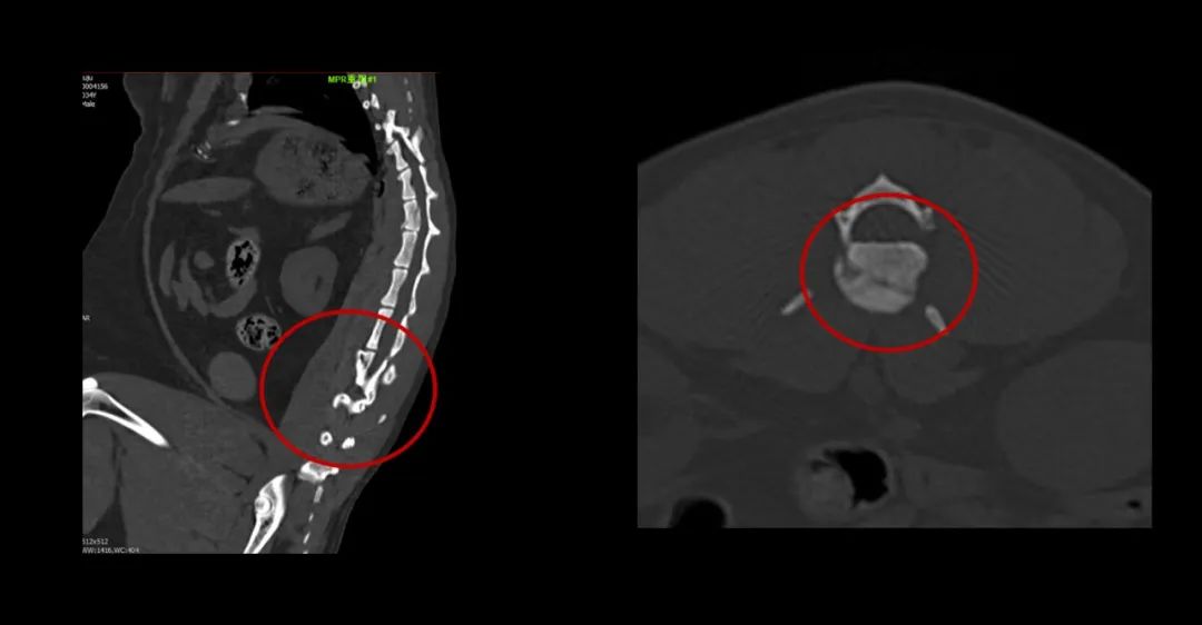 1650961644844249.jpg 640 (6).jpg